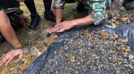 Elephant blasted in the head with AK-47 found dead in Thailand