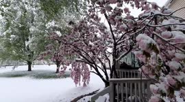 US: Heavy Late-April Snow Falls In Ohio 4