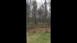 Snowy Spring Cold Front - Southern Vermont - April 21 - 2021