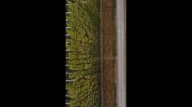 Flying over the farm