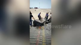 Rubber airbag mistaken for China's 'Loch Ness monster' is removed from river