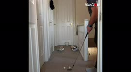 'Trick Shot Artist Nails Epic Shot with Cricket Bat & Golf Club'