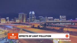 What are the effects of light pollution?