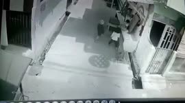Wild Monkeys Attack Small Children Playing Alley Street in West Jakarta, Indonesia