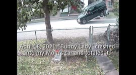 Bunny Lady Crashes into My Mother's Honda Accord Then Flees The Scene of The Accident