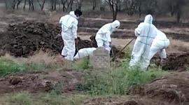 Authorities cremate 36 bodies in central India as death toll surges