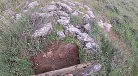 Wildlife photographer discovers a massive lizard under a rock whilst hiking