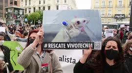 Día internacional del animal de Laboratorio convocada por la asociación free fox contra la experimentación animal