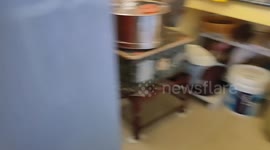 Snake bites in a fraction of seconds. Place : Tamil Nadu, South India