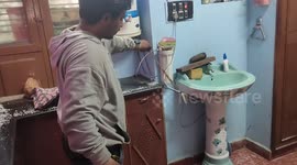 Expert removes deadly cobra from kitchen of family home
