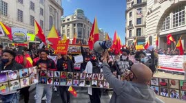 Hundreds of protesters march for Tigray region in central London