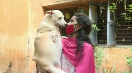 Family of pet lovers care for over 30 dogs in southern India