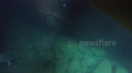 Kayaker records 'spooky' noises made by seals circling underneath him