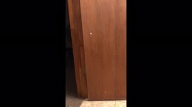 Tricking our 7 year old with chocolate pudding in the bathroom toilet paper gag.