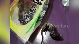 Chinese woman allegedly suffers miscarriage after eating pickles with dead mouse in package