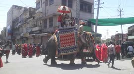 Despite lockdown, Indian groom arrives on elephant for wedding