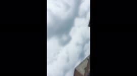 Nature video about cute animal and greenery and very cool weather to feel nature from very close.