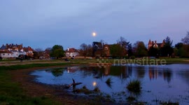 April's Pink supermoon rises above Wimbledon Common in London