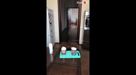 'Son Tries to Spoil Dad's 'Upside-Down' Mug Prank (Backfires)'
