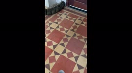 Toddler steals cheese block and runs from mum