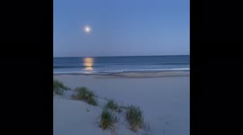 Pink Supermoon Of 2021 Dazzles 3