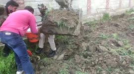 Huge consignment of drugs recovered from hideout in northern India