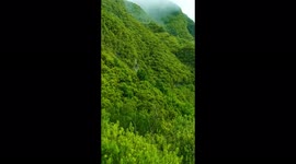 Nature beauty that will tell us the reality of this world