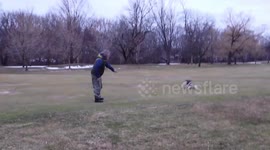 Alaskan Malamutes and then there was two Sojou and Fish Evening Walk