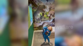 UK mum surprises 'dinosaur-obsessed' son with a Jurassic Park bedroom makeover