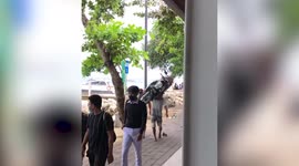 Strong man effortlessly carries heavy motorcycle on one shoulder