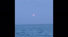 Pink Supermoon Of 2021 Dazzles 7