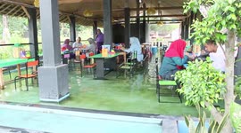 Restaurant in Indonesia lets you dine while tiny fish nibble at your feet