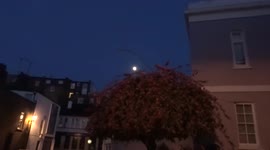 Full moon hanging over a cherry tree
