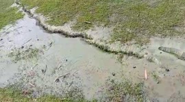 Cracks open up in field after magnitude 6.4 quake hits northeastern India