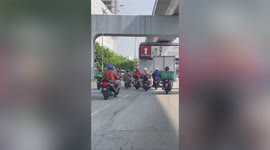 Motorcycle riders save lost poodle wandering along highway in Malaysia