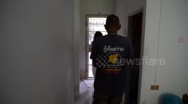 Baby monitor lizard captured after clinging to wall inside house in Thailand