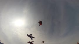 wingsuit skydiving malfunction 2