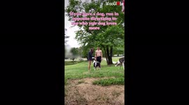 'Georgia Couple Finds Out Who their Dogs Love More'