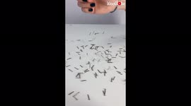'Belarusian Artist Produces Classy Artworks with a String & Nails
'