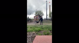 This hilarious trend that tests dogs' loyalty is going viral on TikTok