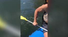 This rescue cat LOVES going hiking, wild camping, lake swimming and kayaking