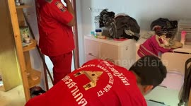 Deadly cobra found behind woman’s underwear drawers