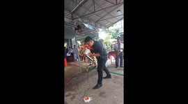The man used his tongue to block the electric fan that was spinning at high speed