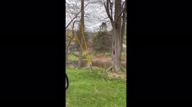 Immature eagle and it’s mama just miss getting their meal