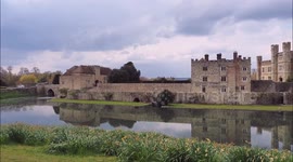 Spring daffodils at Leeds Castle, Kent, UK