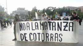 Concentración ¨No a la matanza de cotorras¨ frente al ayuntamiento de Madrid Palacio de Cibeles