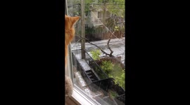 In Like A Lion...