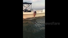 Fisherman catches huge endangered Sawfish