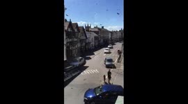 Swarm of bees invades Farnham in Surrey, UK