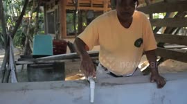 Three Turtles on the Table